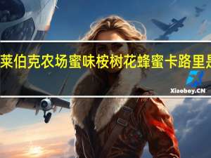 莱伯克农场 蜜味桉树花蜂蜜卡路里是多少