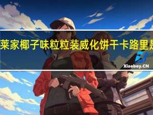 莱家 椰子味粒粒装威化饼干卡路里是多少