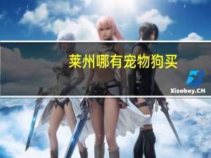 莱州哪有宠物狗买