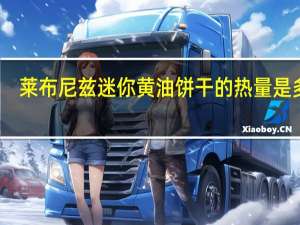 莱布尼兹 迷你黄油饼干的热量是多少