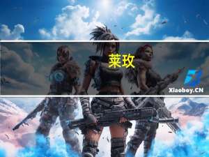 莱玫（关于莱玫的介绍）