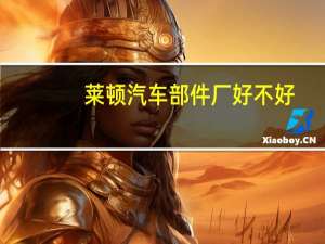 莱顿汽车部件厂好不好