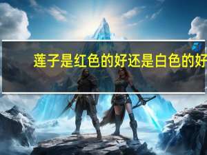 莲子是红色的好还是白色的好