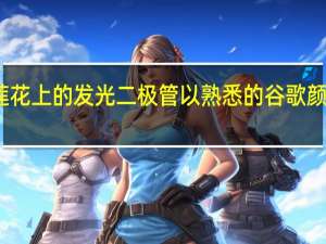 莲花上的发光二极管以熟悉的谷歌颜色亮起