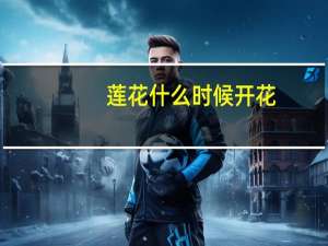莲花什么时候开花