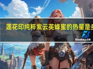 莲花 印纯粹紫云英蜂蜜的热量是多少