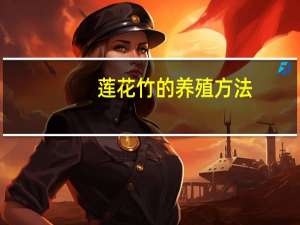 莲花竹的养殖方法