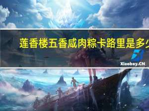 莲香楼 五香咸肉粽卡路里是多少