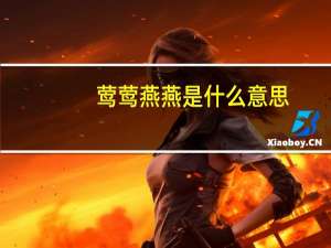莺莺燕燕是什么意思