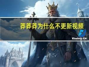 莽莽莽为什么不更新视频（莽莽）