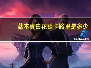 菇木真 白花菇卡路里是多少