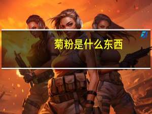 菊粉是什么东西