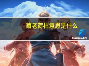 菊老荷枯意思是什么
