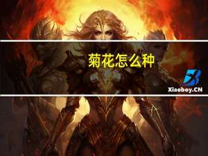 菊花怎么种