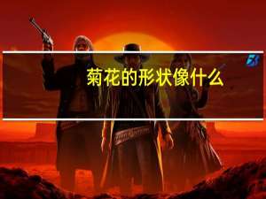 菊花的形状像什么