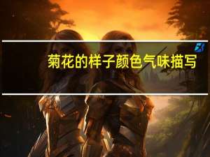 菊花的样子颜色气味描写
