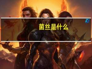 菌丝是什么