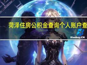 菏泽住房公积金查询个人账户查询（扬州市住房公积金个人帐户怎样查询）