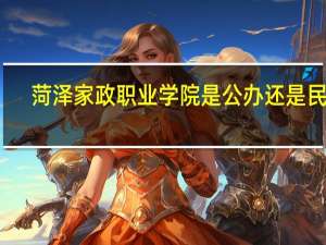 菏泽家政职业学院是公办还是民办
