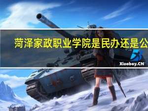 菏泽家政职业学院是民办还是公办