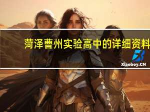 菏泽曹州实验高中的详细资料