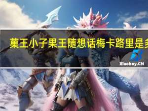 菓王小子 果王随想话梅卡路里是多少