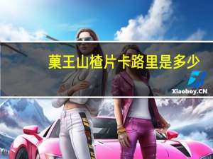 菓王 山楂片卡路里是多少