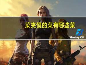 菜夹馍的菜有哪些菜