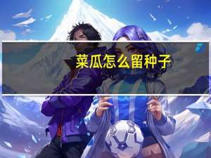 菜瓜怎么留种子