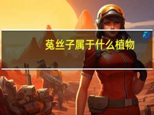 菟丝子属于什么植物