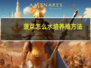 菠菜怎么水培养殖方法