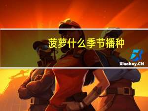 菠萝什么季节播种