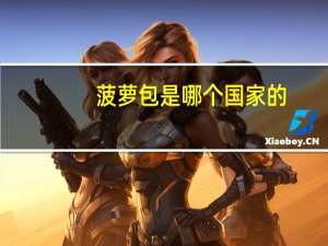 菠萝包是哪个国家的
