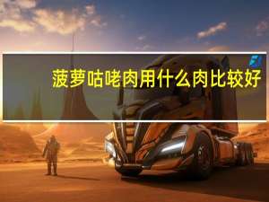 菠萝咕咾肉用什么肉比较好