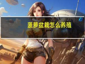 菠萝盆栽怎么养殖