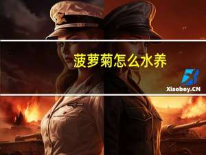 菠萝菊怎么水养