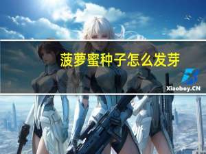 菠萝蜜种子怎么发芽