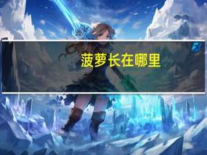 菠萝长在哪里