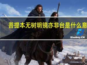 菩提本无树明镜亦非台是什么意思（菩提本无树的全文是什么）