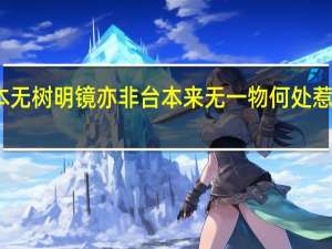 菩提本无树明镜亦非台本来无一物何处惹尘埃的意思