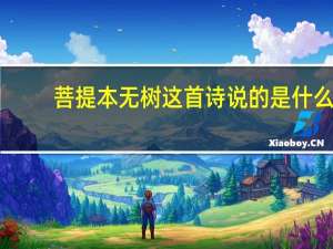 菩提本无树 这首诗说的是什么