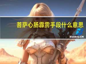 菩萨心肠霹雳手段什么意思
