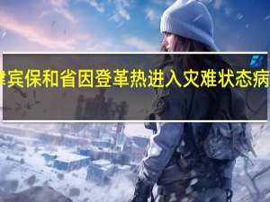 菲律宾保和省因登革热进入灾难状态 病例超13万