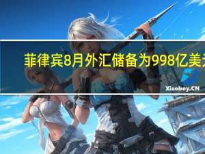 菲律宾8月外汇储备为998亿美元