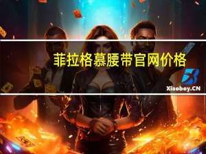 菲拉格慕腰带官网价格（菲拉格慕腰带）