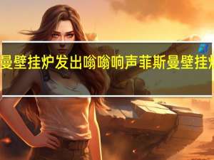 菲斯曼壁挂炉发出嗡嗡响声 菲斯曼壁挂炉售后电话
