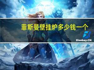 菲斯曼壁挂炉多少钱一个（菲斯曼壁挂炉价格）