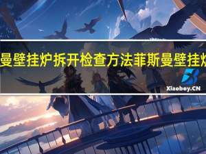 菲斯曼壁挂炉拆开检查方法 菲斯曼壁挂炉售后维修
