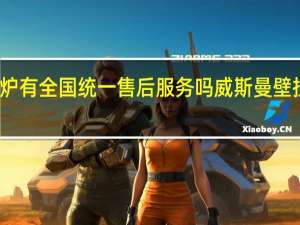 菲斯曼壁挂炉有全国统一售后服务吗 威斯曼壁挂炉售后服务热线