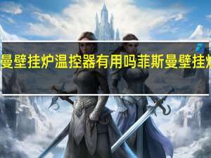 菲斯曼壁挂炉温控器有用吗 菲斯曼壁挂炉维修售后